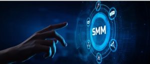 Who is the Leading Provider of SMM Panel Services?