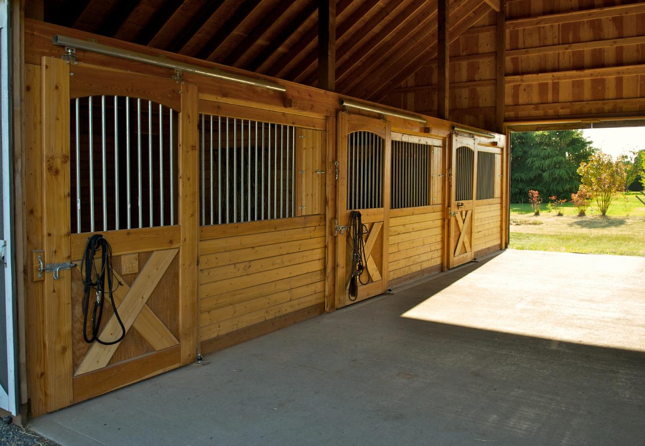 How Long Should Horses Stay in Stalls?